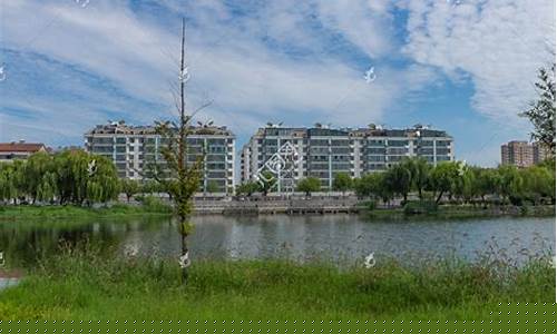 山东济宁邹城油价_山东济宁邹城油价最新消