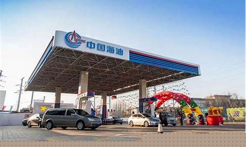 吉林市二家加油站油价_吉林市加油站价格
