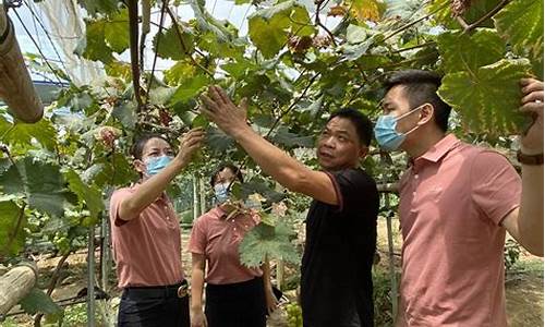 永定联社股金价格_永定农村信用合作联社