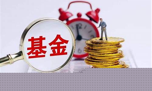 基金价值配置什么意思啊_基金价值配置什么