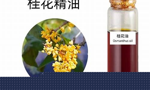 桂花油的功效与作用及食用方法_黑龙江桂花油价格表最新