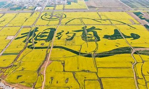 许昌襄城县油价多少_襄城县哪个加油站油好