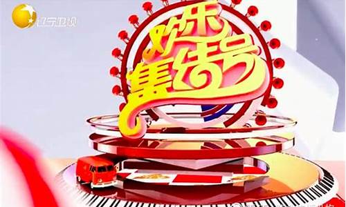 辽宁卫视评油价节目_辽宁油价上涨