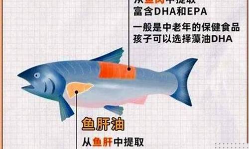 鱼肝油价格的变化过程_鱼肝油价格差异大