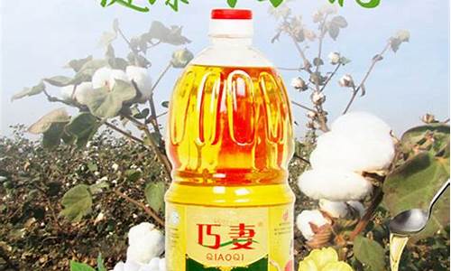 山东棉籽油价格厂家_山东棉籽榨油厂