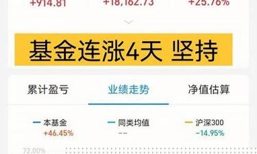 基金价钱怎么算_怎么算基金价值多少