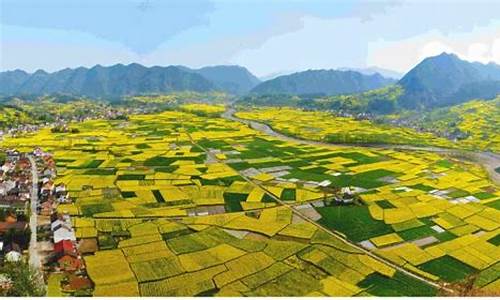 陕西汉中油价调整最新消息_2019年陕西汉中油价