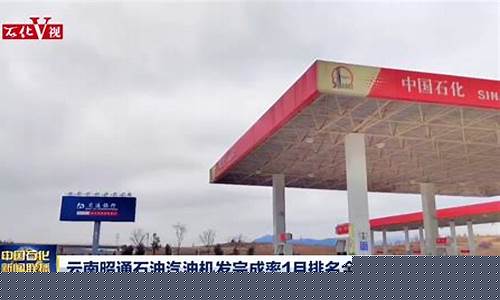 今日油价92汽油云南昭通_云南昭通4月汽油价格