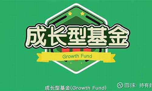 成长基金价值基金_成长基金价值基金是什么