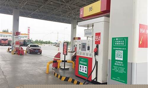 郑州市惠济区加油站油价_郑州市惠济区加油站油价查询