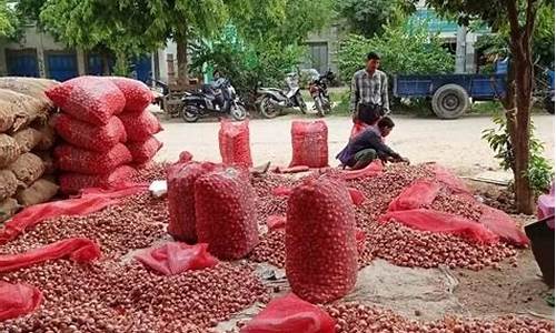 缅甸淘金要办什么手续_缅甸边境淘金价格