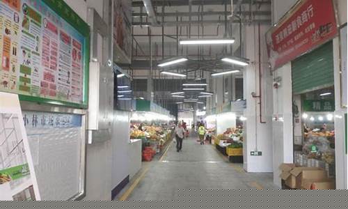 金湾区小林金星加油站油价_金星加油站电话号码