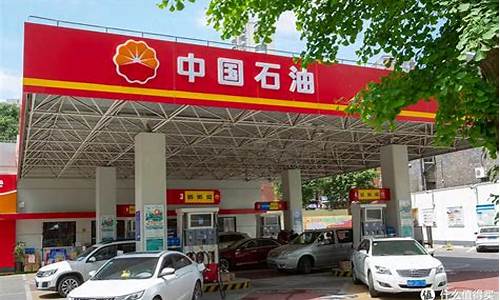株洲市汽油价格多少钱一升_株洲油价95号汽油价格