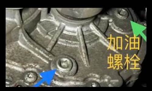吉利帝豪齿轮油价格_吉利帝豪ev齿轮油加油口