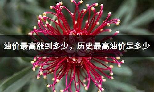 历年油价最高_往年油价最高多少
