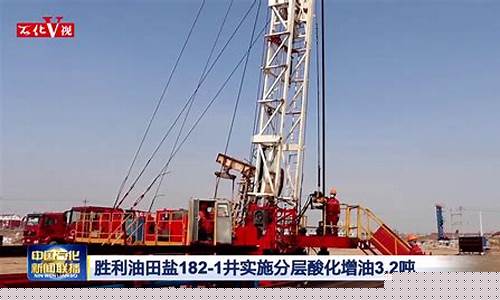 中国石化调整胜利油田油价_中国石化胜利油田石化总厂 官网