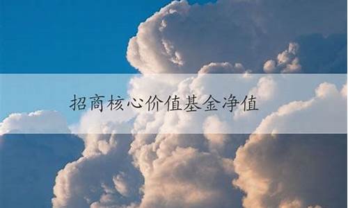 招商核心基金净值_招商核心基金价值