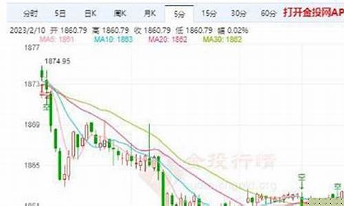 金价维持振荡说明什么_金价持续走高的原因