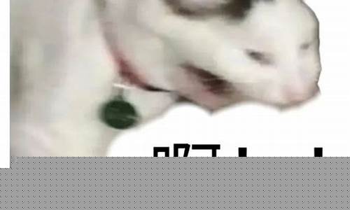 油价没调整啊表情包_油价上调了没